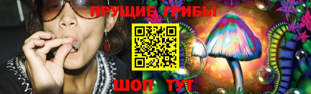 Псилоцибиновые грибы GOLDEN TEACHER Краснодар